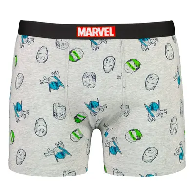 Men's boxer Marvel Avengers - Frogies