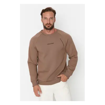 Trendyol Mink Regular/Normal Cut Raglan Sleeve Text Printed Sweatshirt