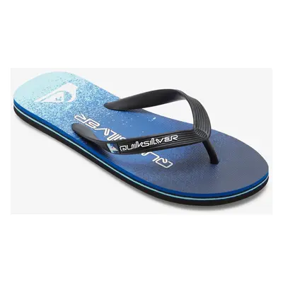 Men's flip-flops Quiksilver MOLOKAI ART