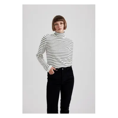 DEFACTO Regular Fit Turtleneck Basic Knitwear Sweater