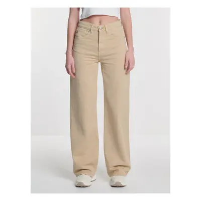 Big Star Woman's Wide Trousers Denim Brown Denim-881