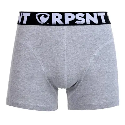 Men's boxers Represent Sport grey