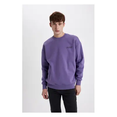 DEFACTO Oversize Fit Crew Neck Sweatshirt