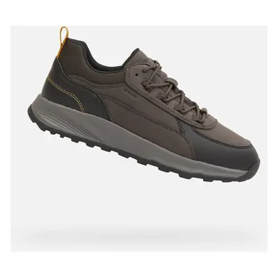 Brown men's sneakers Geox Terrestre - Men's