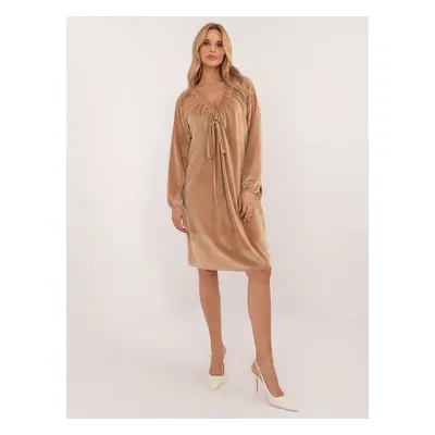 Brown velour dress with long sleeves