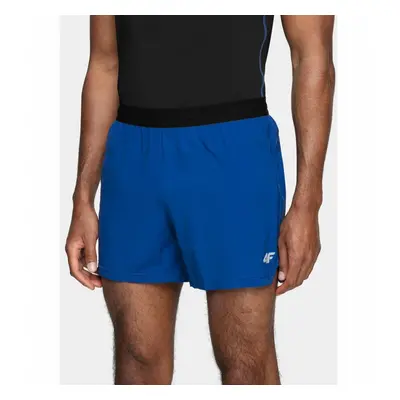 Men's 4F Running Shorts