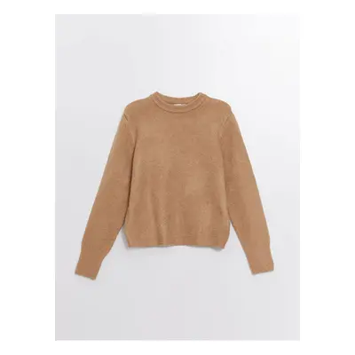 LC Waikiki LCW Crew Neck Plain Long Sleeve Women's Knitwear Sweater