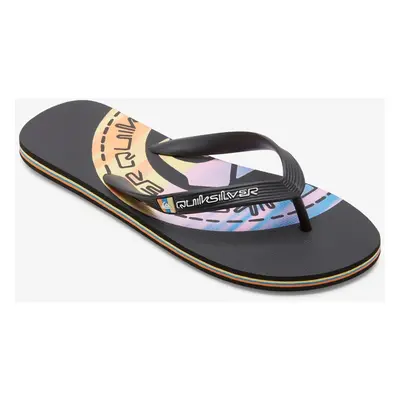 Men's flip-flops Quiksilver MOLOKAI ART