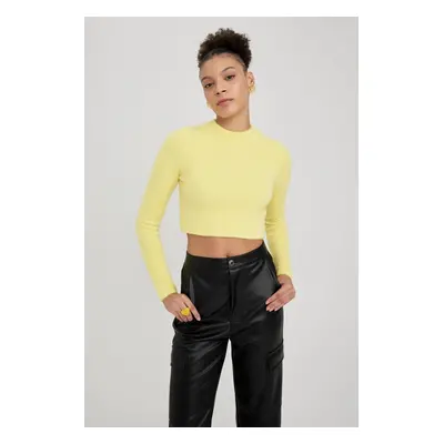 DEFACTO Cool Regular Fit Crew Neck Sweater