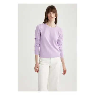 DEFACTO Regular Fit Crew Neck Basic Plain Knitwear Sweater