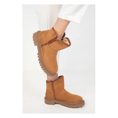 Soho Tan Suede Women's Boots & Bootie