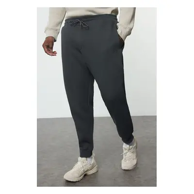 Trendyol Anthracite Regular/Normal Cut Basic Plus Size Sweatpants