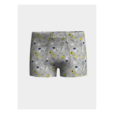 LC Waikiki Printed Boy Boxer