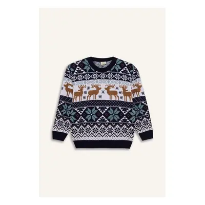 DEFACTO Boy Regular Fit Patterned Crew Neck Knitwear Sweater