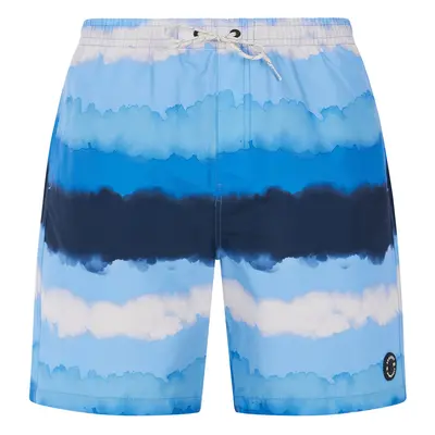 Men's beach shorts Protest PRTHAMSEY