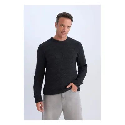 DEFACTO Standard Fit Regular Cut Crew Neck Textured Basic Plain Knitwear Sweater