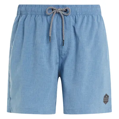 Men's beach shorts Protest DAVEY