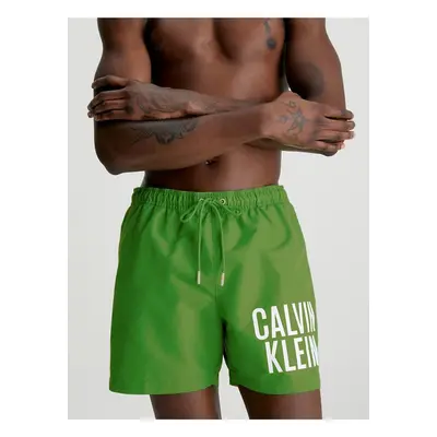 Calvin Klein Underwear Green Men's Swimsuit - Men's