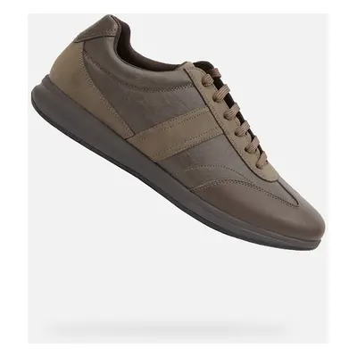 Brown men's sneakers Geox Avery - Men's