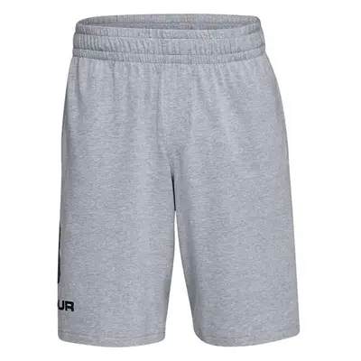 Men's shorts Under Armour COTTON BIG LOGO SHORTS gray