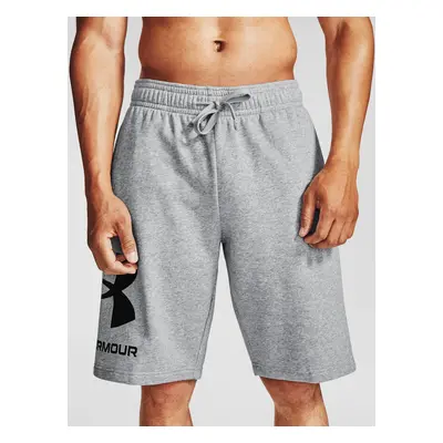 Under Armour Shorts UA Rival FLC Big Logo Shorts-GRY - Men