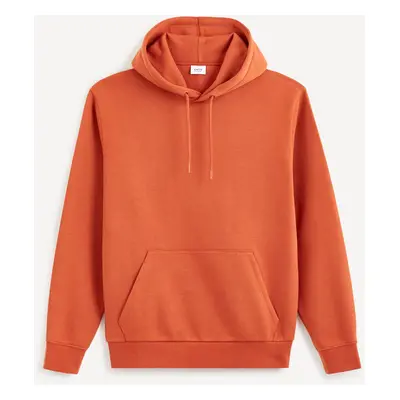 Celio Vesix Hoodie - Men