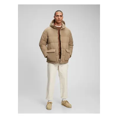 GAP Winter Hooded Jacket - Men