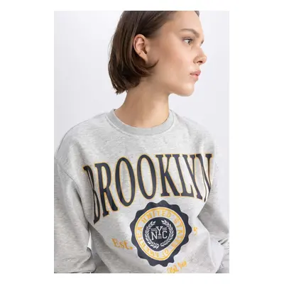 DEFACTO Regular Fit Crew Neck Thick Sweatshirt