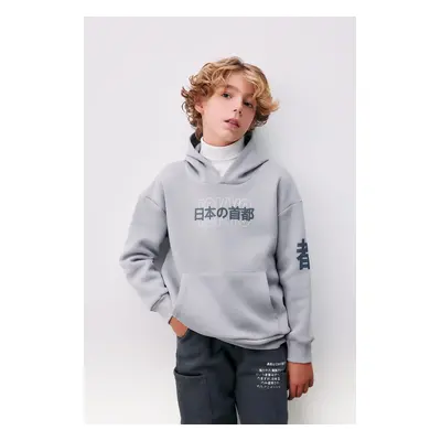 DEFACTO Boy Oversize Wide Pattern Hooded Printed Thick Sweatshirt