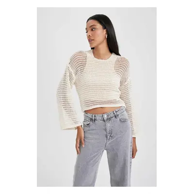 DEFACTO Relax Fit Crew Neck Knitted Sweater