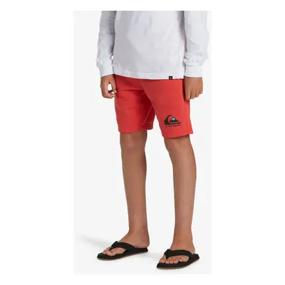 Boys' shorts Quiksilver EASY DAY