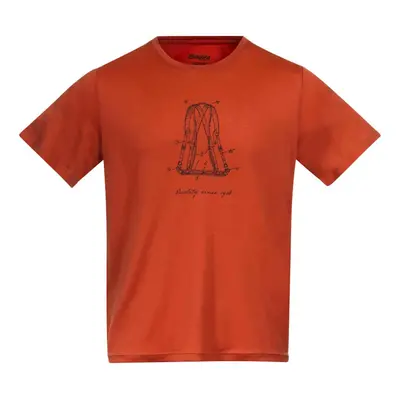 Men's T-shirt Bergans Graphic Wool Brick