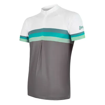 Men's Jersey Sensor Cyklo Summer Stripe Grey/Green