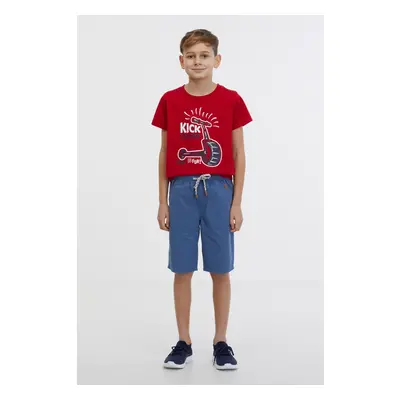 SAM73 Falko Boys' Shorts - Boys