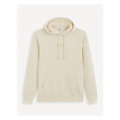 Celio Gecarto Hoodie - Men's