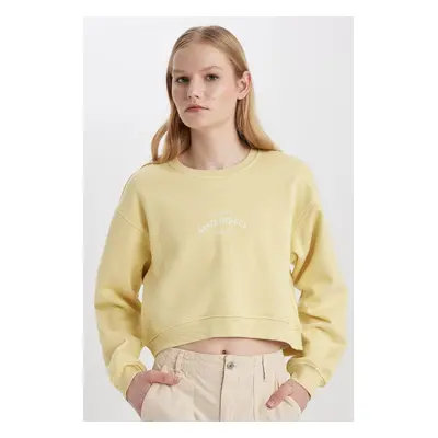 DEFACTO Boxy Fit Crew Neck Thick Fabric Sweatshirt