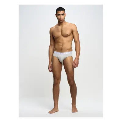 Big Star Man's Underpants Underwear Grey