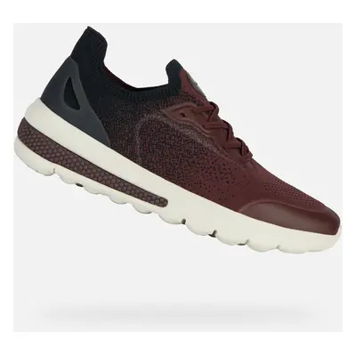 Burgundy men's sneakers Geox Spherica Actif - Men's