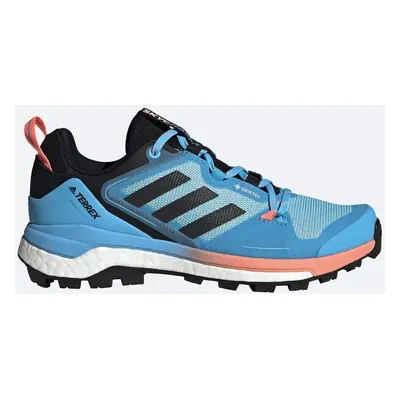 Women's shoes adidas Terrex Skychaser GTX W Blue