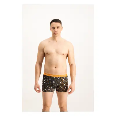 Men's boxers Frogies Zodiac Bak