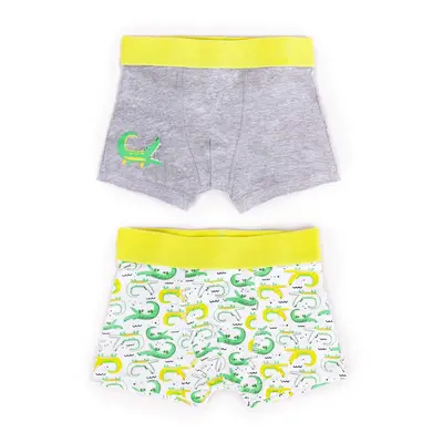 Yoclub Kids's Cotton Boys' Boxer Briefs Underwear 2-pack BMB-0011C-AA30-001