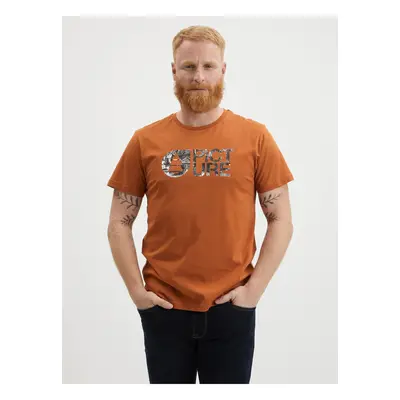 Brown Men's T-Shirt Picture - Men