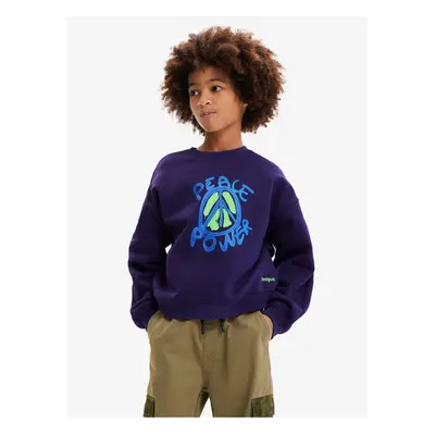 Dark blue boys' sweatshirt Desigual Arthur - Boys