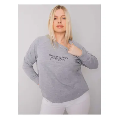 Sweatshirt-RV-BL-7162.12P-grey