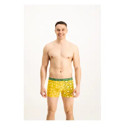 Men's boxers Frogies Zodiac Ikrek