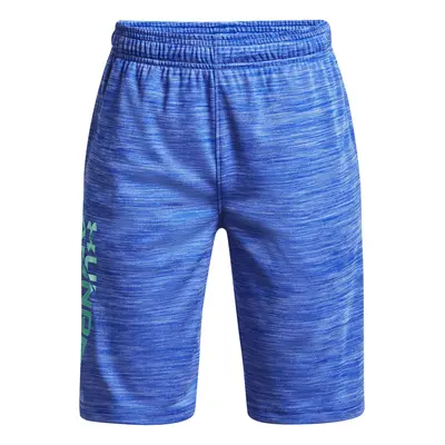 Boys' shorts Under Armour Prototype 2.0 Wdmk Shorts