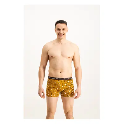 Men's boxers Frogies Zodiac Bika