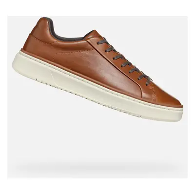 Brown men's sneakers Geox Zackerty - Men's