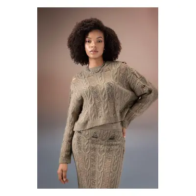 DEFACTO Crew Neck Openwork Knitted Sweater