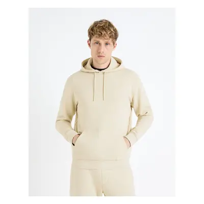 Celio Fesix Hoodie - Men